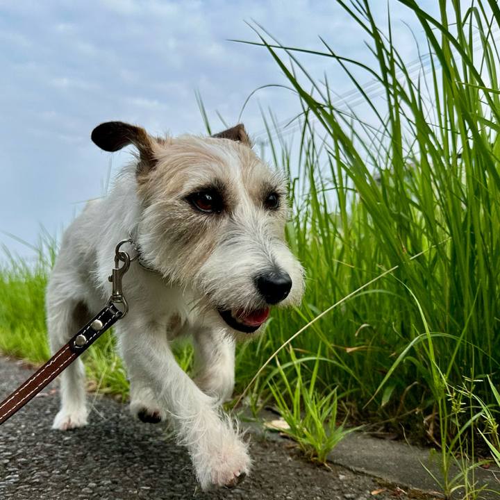 D777a16b c3a3 4c25 9c63 4a5af3480777 1756081638567