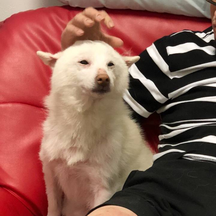 D777b01b 0146 4629 b14a dc30634e33b1 1528567149925