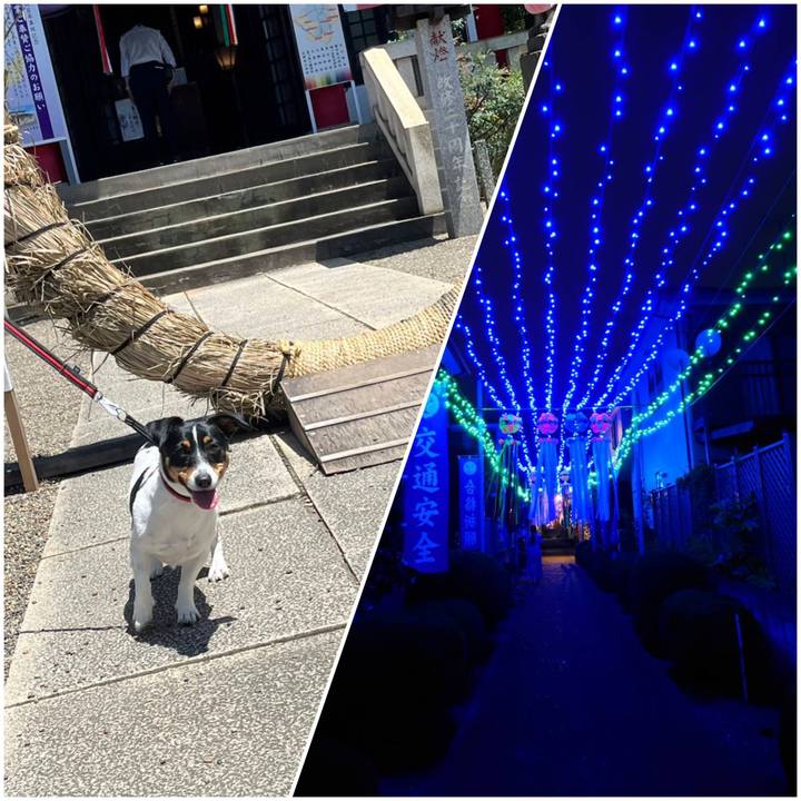 D777b6c2 cc4e 485d b141 d94628f2dfb6 1688290176024