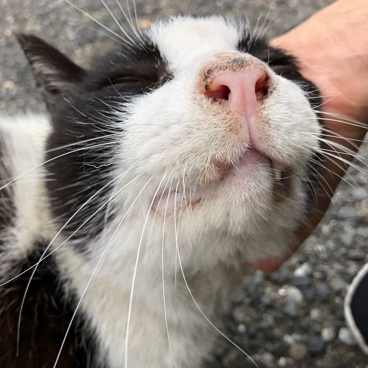 D777cd6e 405e 4277 a336 d38f0b86ab34 1525790656154