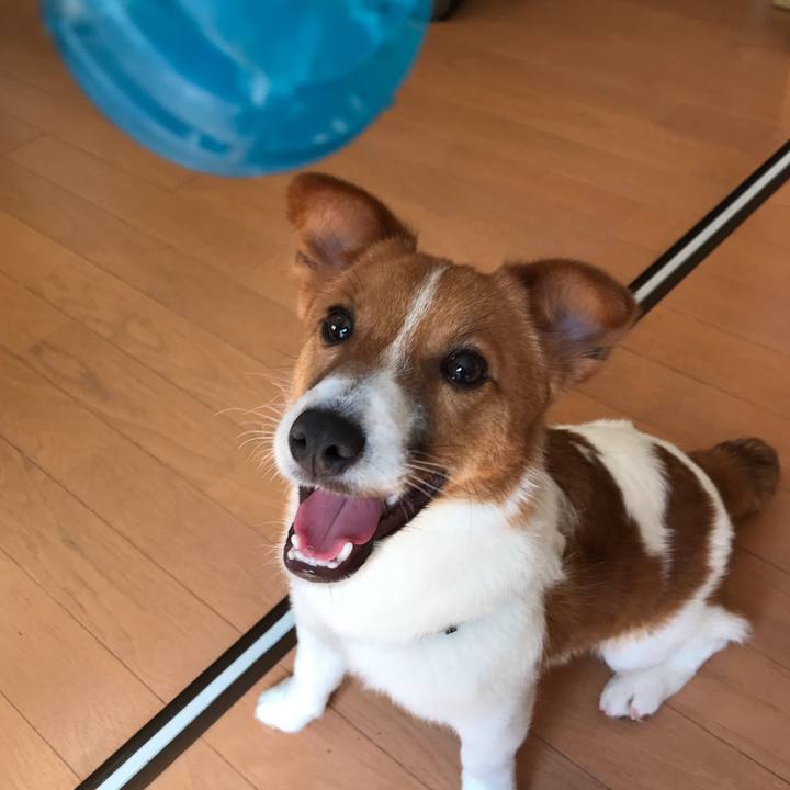 D777ce25 cca4 4b54 ba0f b1f7b1eb1daf 1584239516763