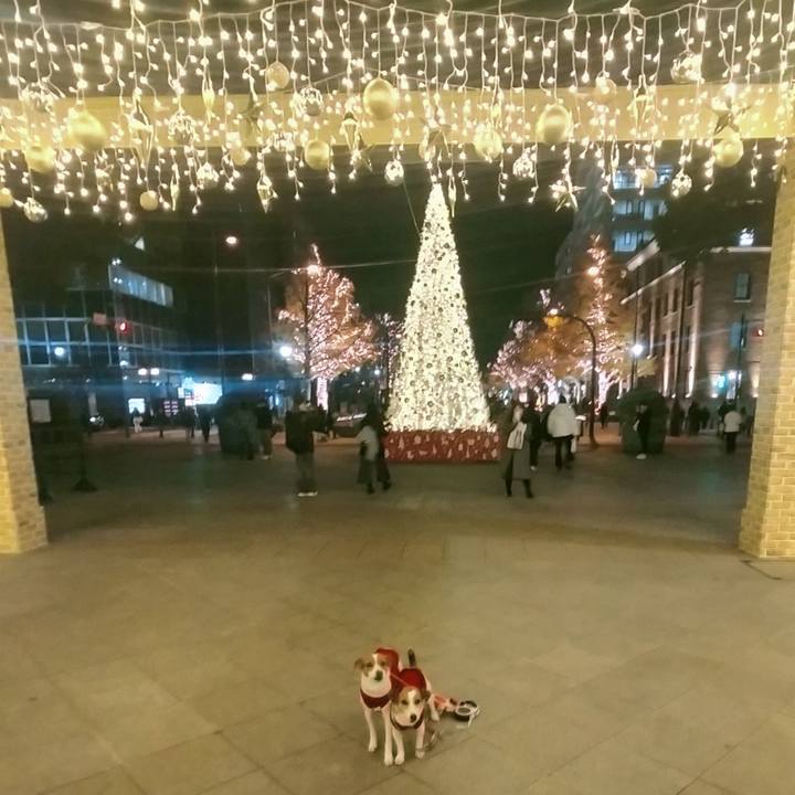 D77839de 270d 49f5 88bc 21577770b9de 1766042436285