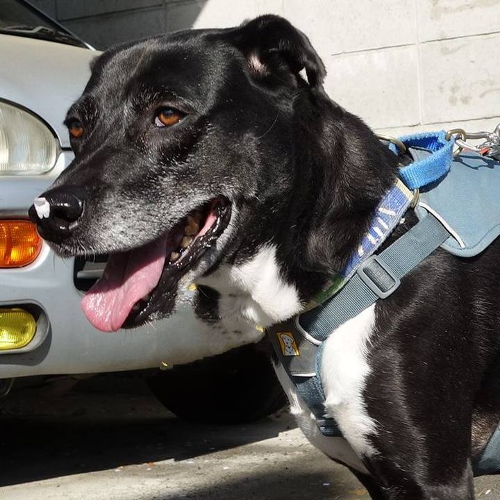 D7783e03 c723 48d3 884a de1d55d257e3 1712746437996