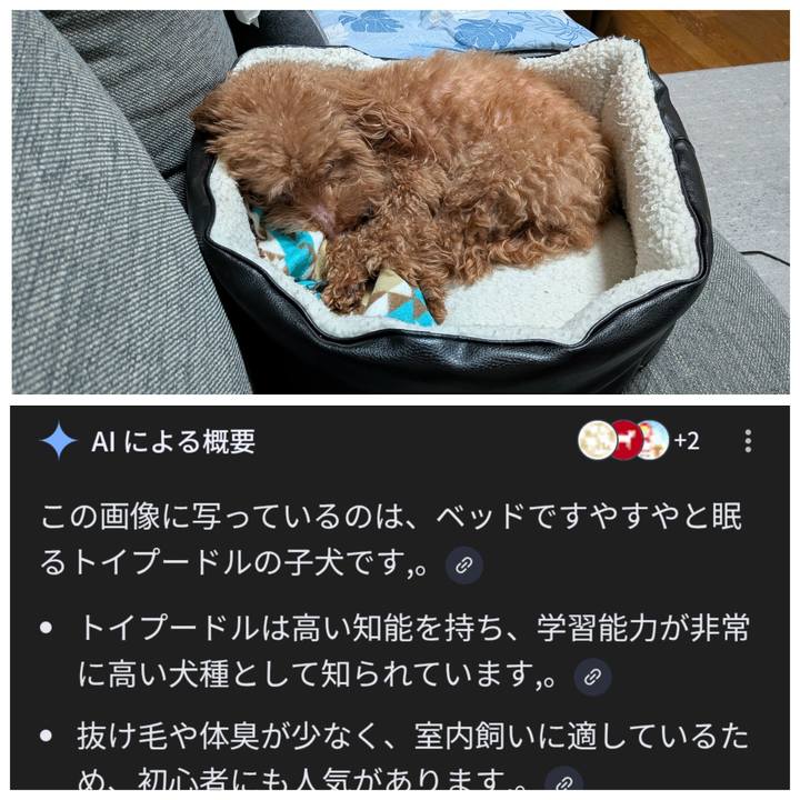 D7783f87 8b01 4fec ac62 46726d5ae054 1777372186761