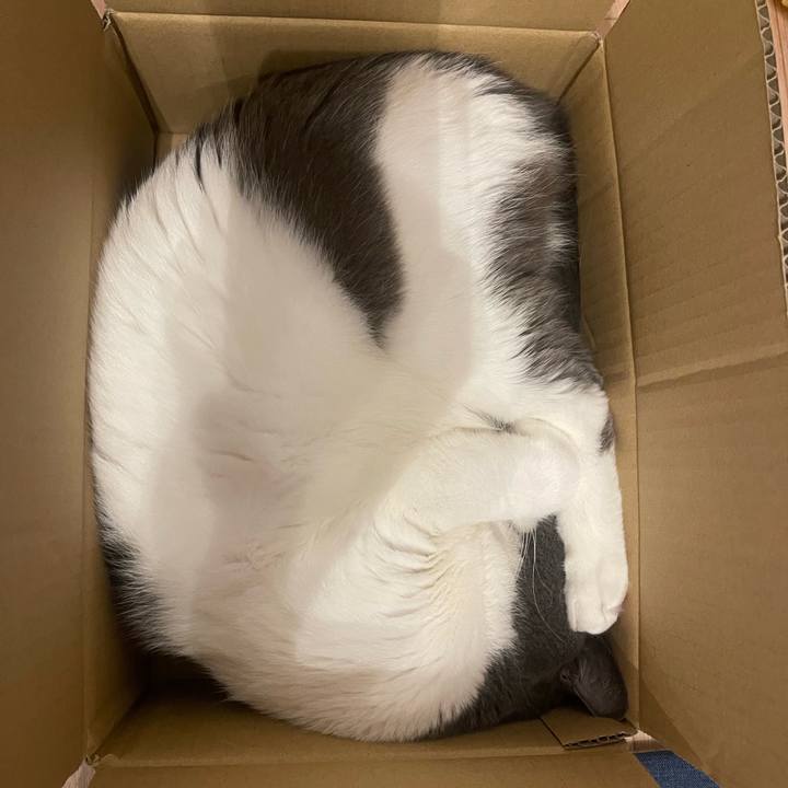 D7784380 39b6 4b06 ac5f dc66b2efa4c2 1698065728968