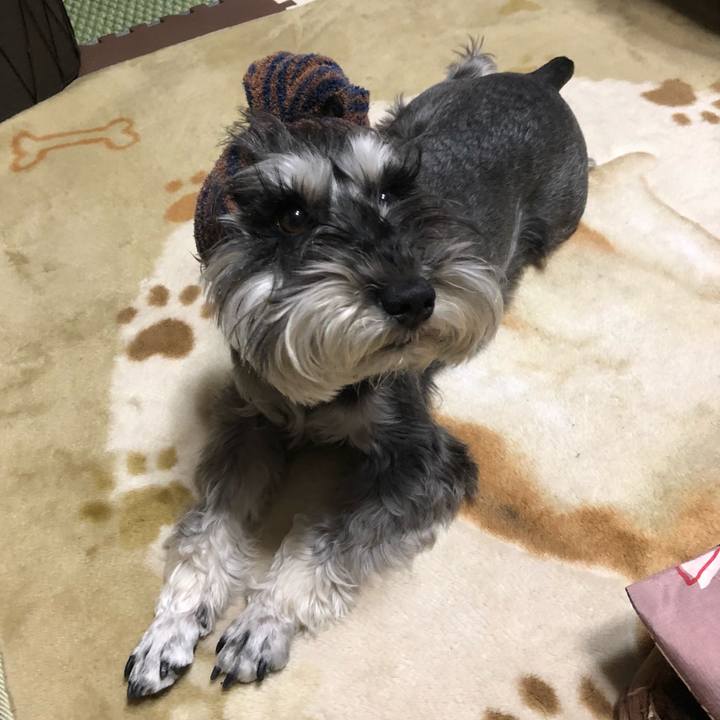 D7786d76 b3d8 40f0 8487 6c1e511256be 1524920179928