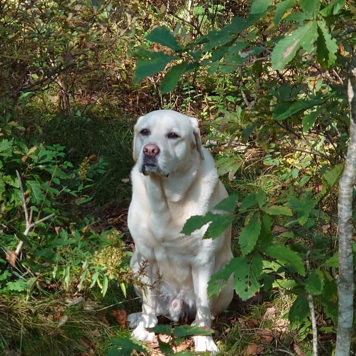 D778b74b 0ba0 45d9 b9f4 e1f1b0b52777 1633320114196