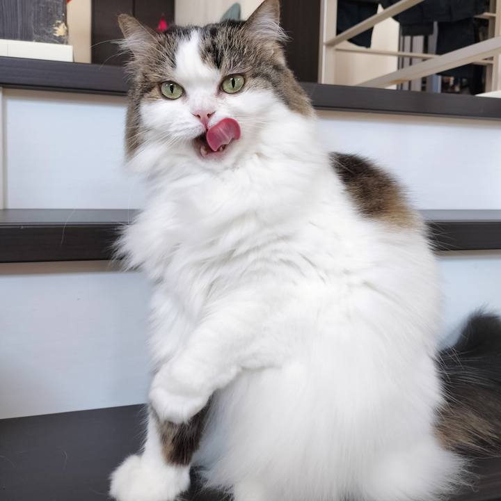 D778cb59 7fcf 4bbd aa25 0472265b678f 1772768494892