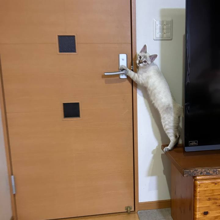 D7790071 14d3 4c51 b81b 8a64642972cd 1728909301164