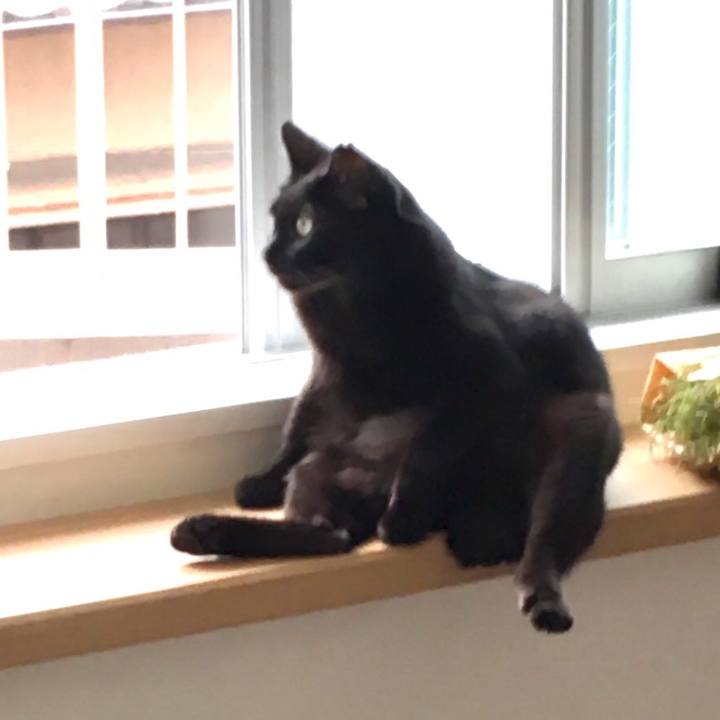 D7792f9b 3589 4906 b238 a1915f984608 1527565593369