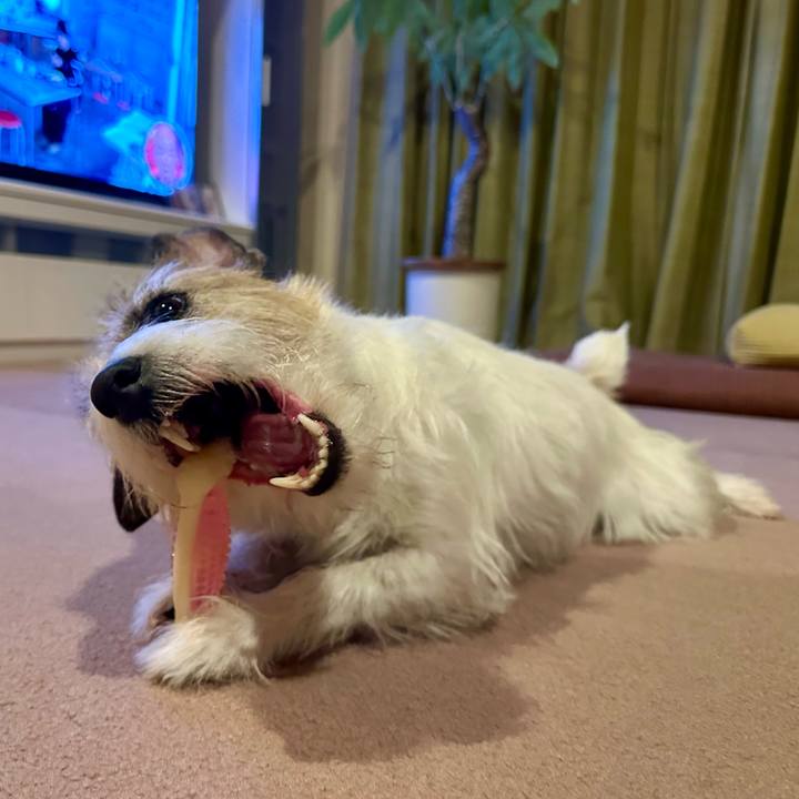 D779709a 7c13 42b2 bc7f 3ac8653001f3 1738098414183