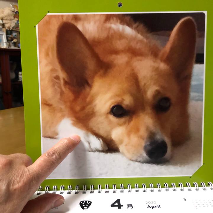 D77971dc f56d 4788 96b9 19c50297ea07 1585748688905