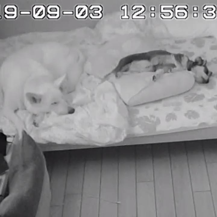 D7797d67 3bed 4cda 85d2 b46b7bffa8df 1567494457209