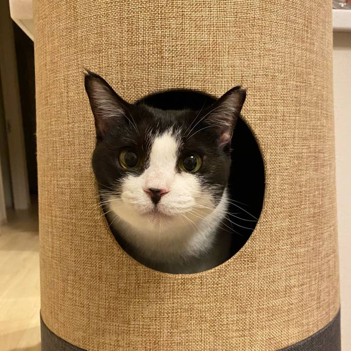 D779ff3f f87b 460c b983 02beaaf14a46 1728821147334