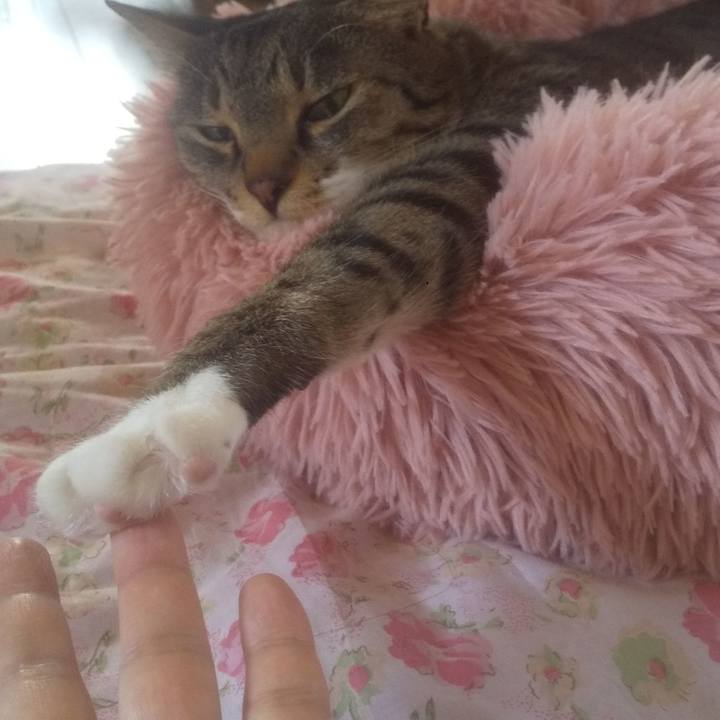 D77a0247 def4 4694 8199 1b77e874548e 1746062220739