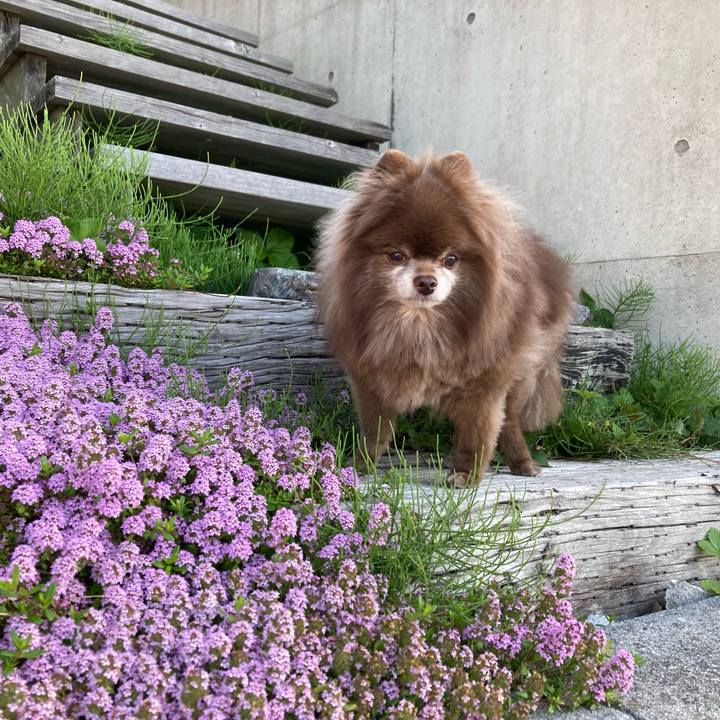 D77a02ea e617 4418 b598 83c84743a198 1685045830003