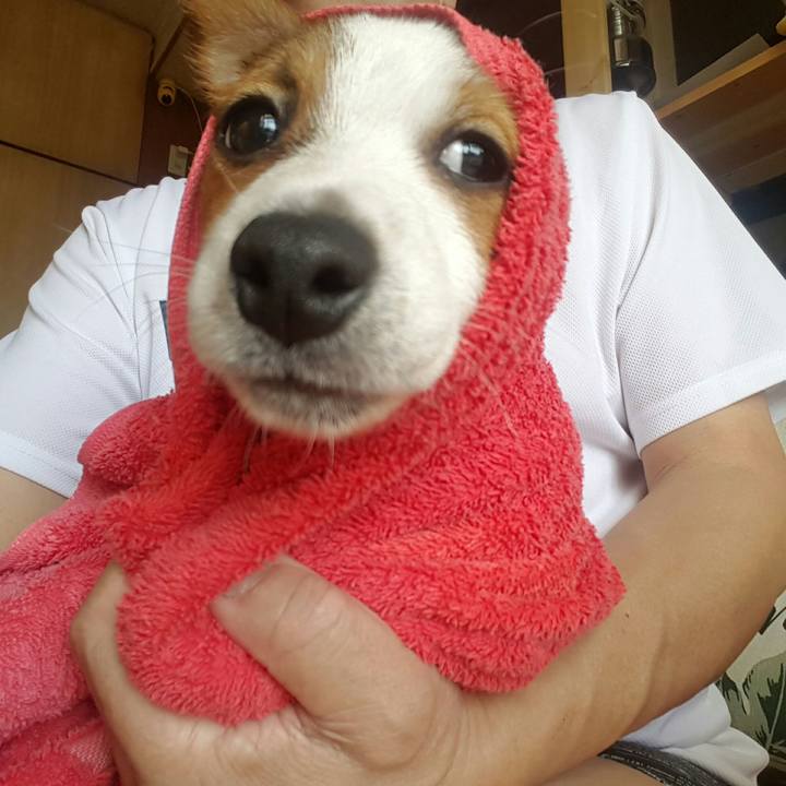 D77a1ae3 06da 47dd 8bc0 576a638762e6 1550637058885