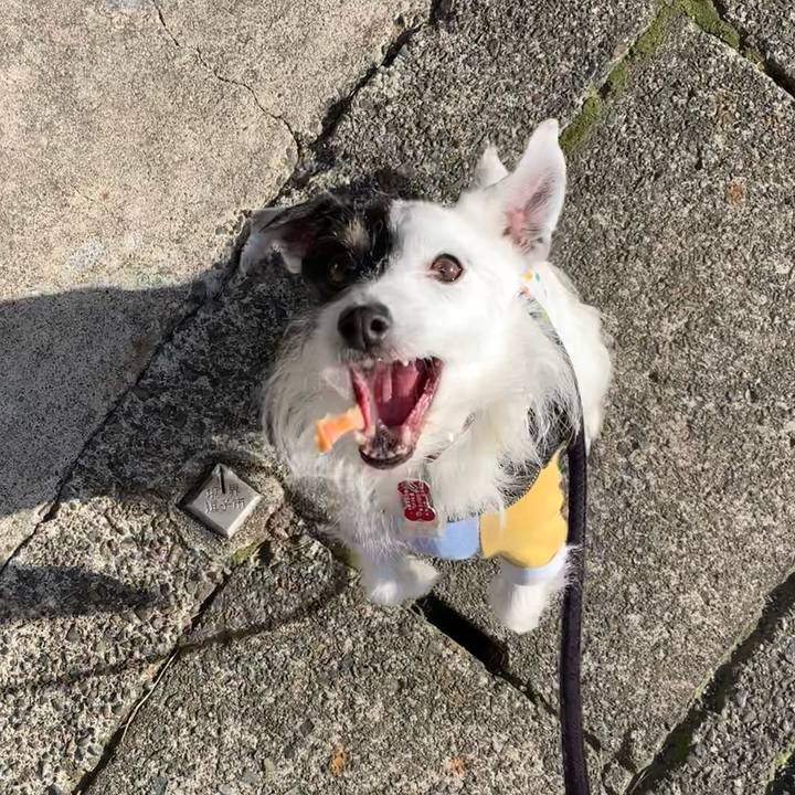 D77a4244 3c91 459d 8fef ced88f1ec1fe 1710747855061