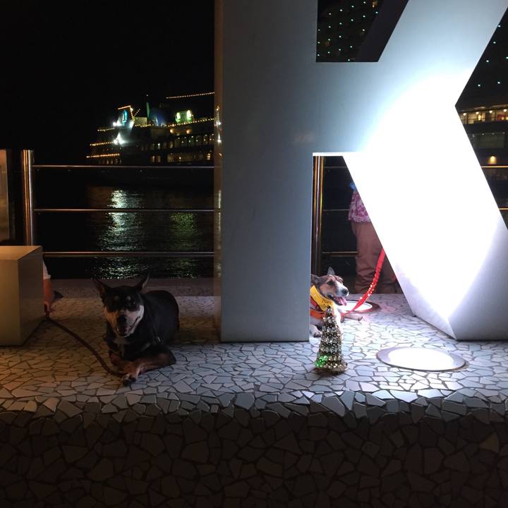 D77a7160 d7c0 46af 82d8 61cc95df5d0d 1537273834269