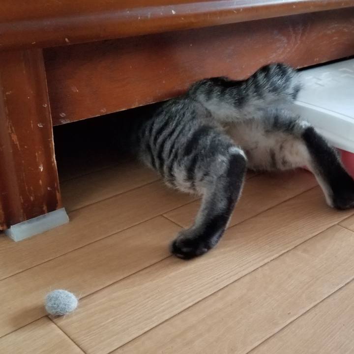 D77a78e0 29d9 4d79 92c2 1b7351f0ea58 1670716194050