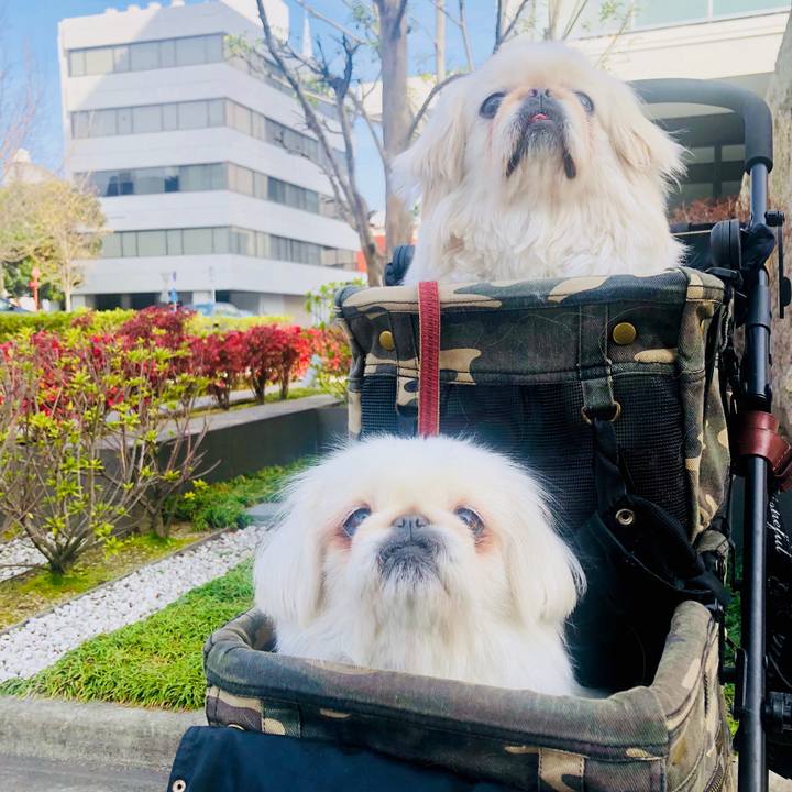 D77a7db4 222c 4600 bdea a9262db8db44 1583043634250