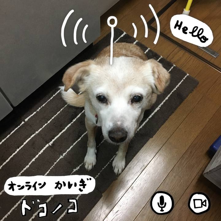 D77a82f1 a987 4b67 9df5 32767f1f0f67 1590714569333