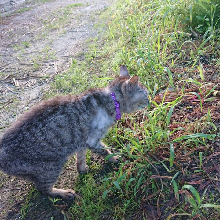 D77a95bf 5b3a 4947 92a3 c8c62d3e1523 1596400754492