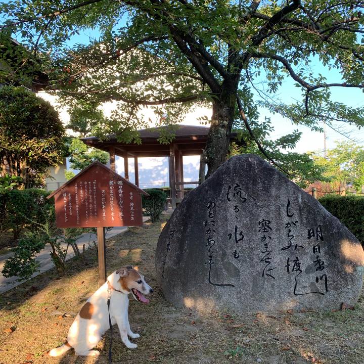 D77ab335 7903 488d ad7e 45bcf5335990 1597527927135