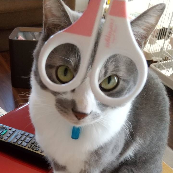 D77ae8a2 708f 47ce a89c cccb82db0d94 1618041150340