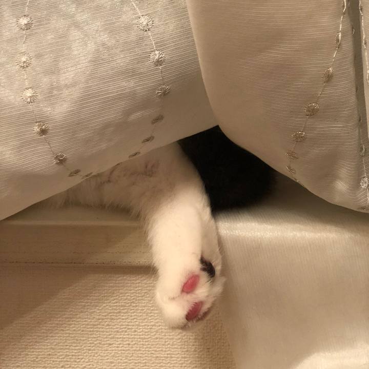 D77ae9f1 05dc 4959 8ab0 71f5c9dc74db 1527078942647