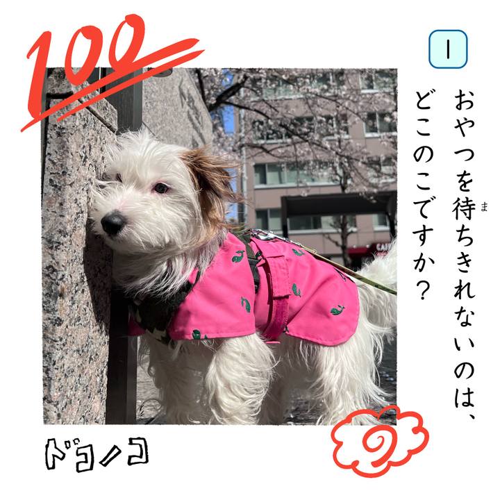 D77af85f eda8 41c2 879e 9db3569145e6 1744425354266