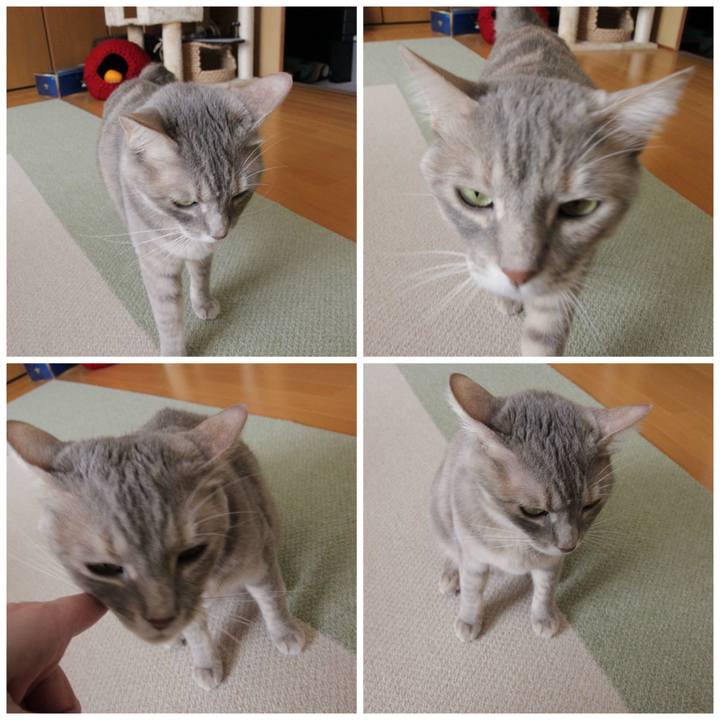 D77b0e2d dc4e 43b0 8fb4 ae60b1c3be69 1584919108274