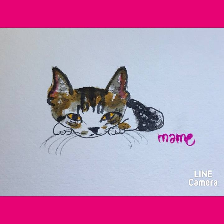 D77b296a bb6a 42d7 bf93 f11f0aee91c5 1612877291650