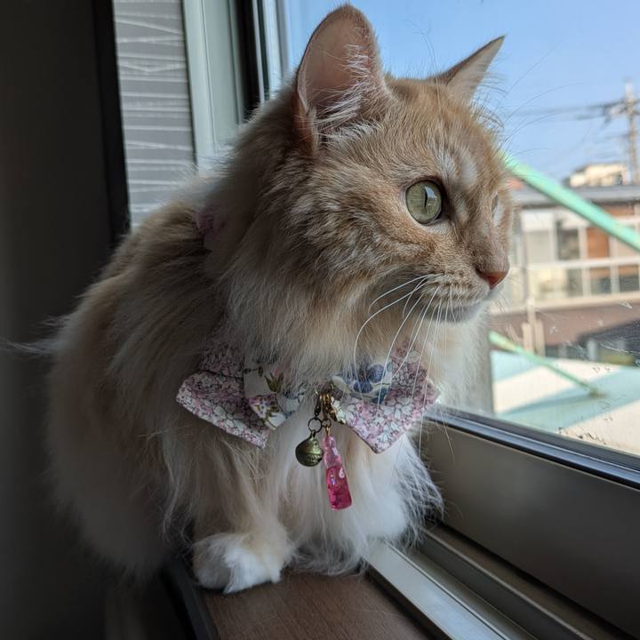 D77b394b 682f 4849 8da3 92303b669360 1753228201215