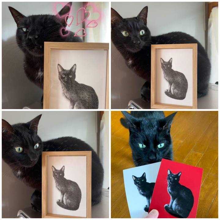 D77b4334 758d 4978 9dce ca7956cd7b7a 1644920315243