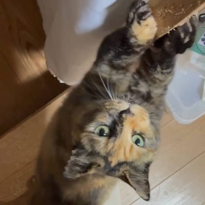 D77b6954 a990 4070 860b c618ae22928a 1750820118120