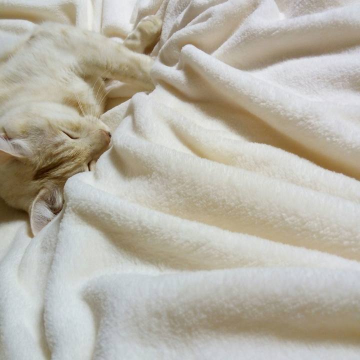 D77b79d7 cc5a 49ff ba56 e114efd5d402 1508677607032