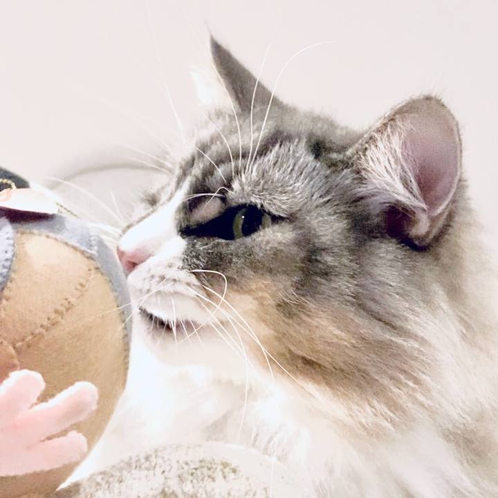 D77bdea2 10a2 4404 8ada 95ece321d001 1762787734918