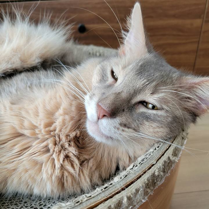 D77bf5cd 39f2 4c81 abf7 0cb707cb8b66 1631950408319