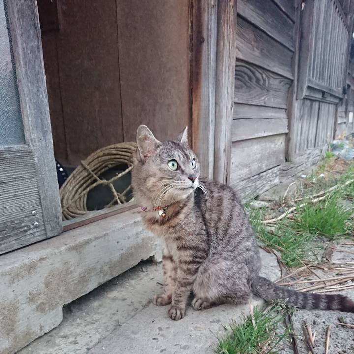 D77bfee3 53ea 4059 9551 d3787a1a9b18 1589363200602