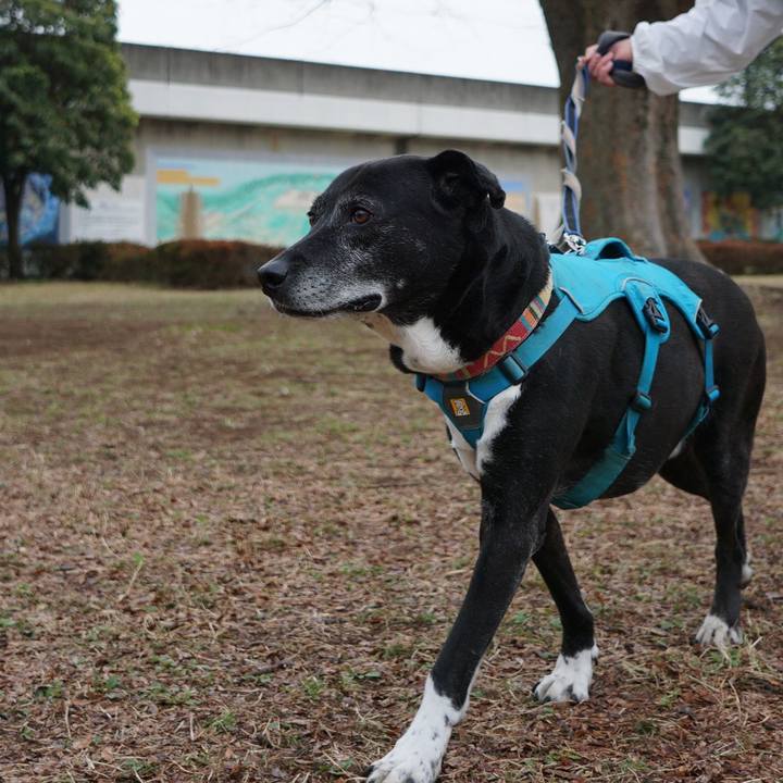 D77c068f 5dc7 4257 83d5 4afbf057e89d 1774224061841