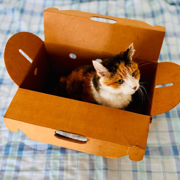 D77c3d18 ced1 4aff aa58 a8eafda8e1b9 1727596069203