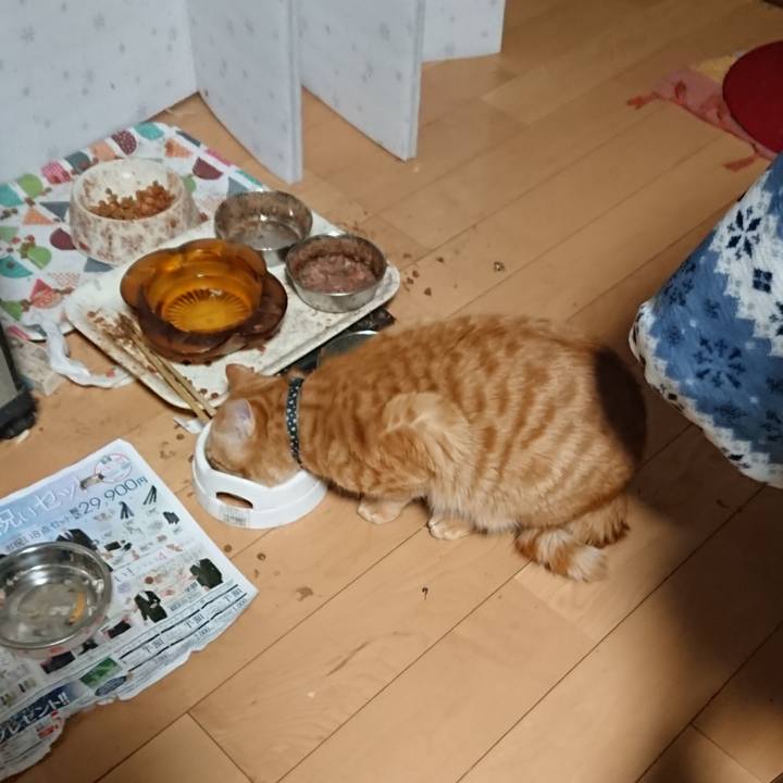 D77c6fcd b50c 4de3 a66e 42c6f2e55bb5 1647031571425