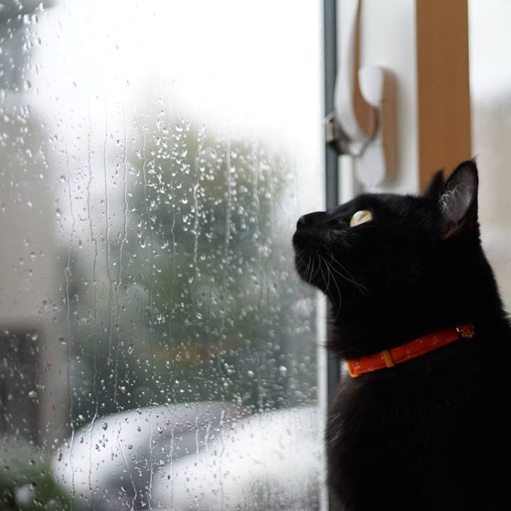 D77c96dd 0edd 4f85 8516 2c8238c1e42d 1521640032809