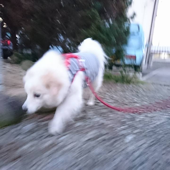 D77cd12f 1322 47cb 8bc2 8bbabc13fb06 1514065396021