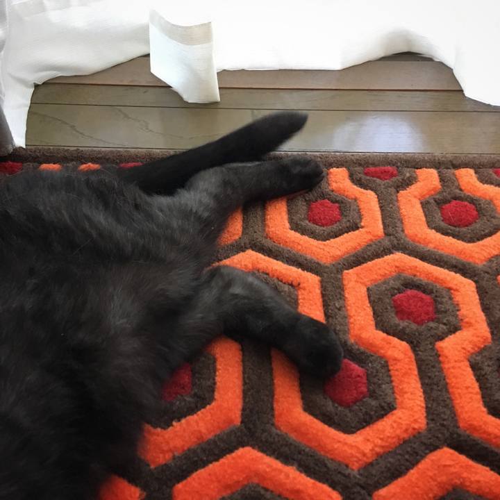 D77cdf5d da58 43b4 8b32 2528a38bb991 1534213974016