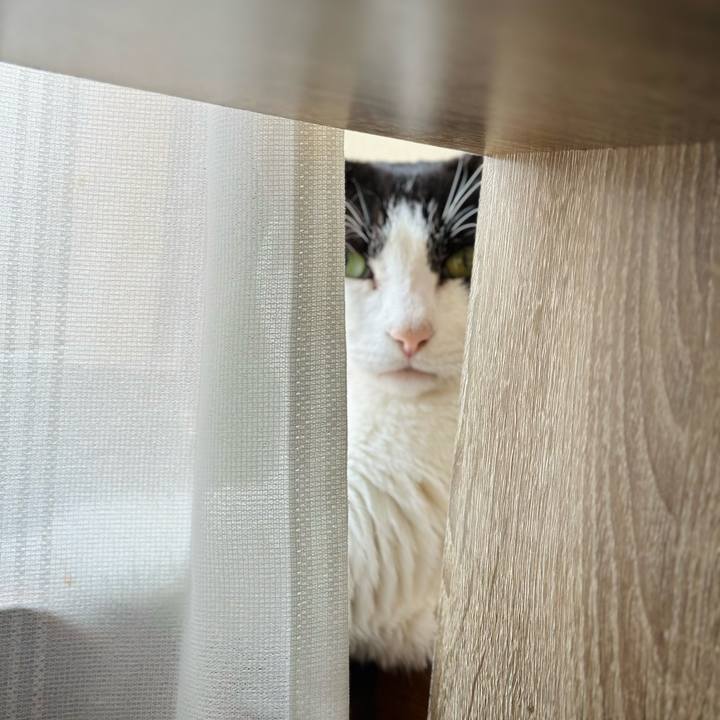 D77d047b 89d3 4729 9b5e 5c4195a4d772 1717897420916