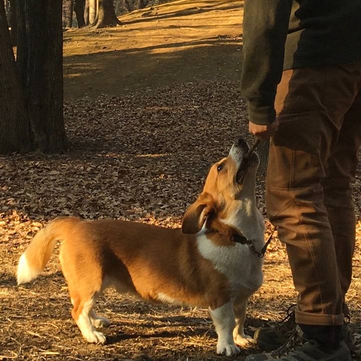 D77d05c6 d363 47df bc52 84ae240ede30 1613784688812