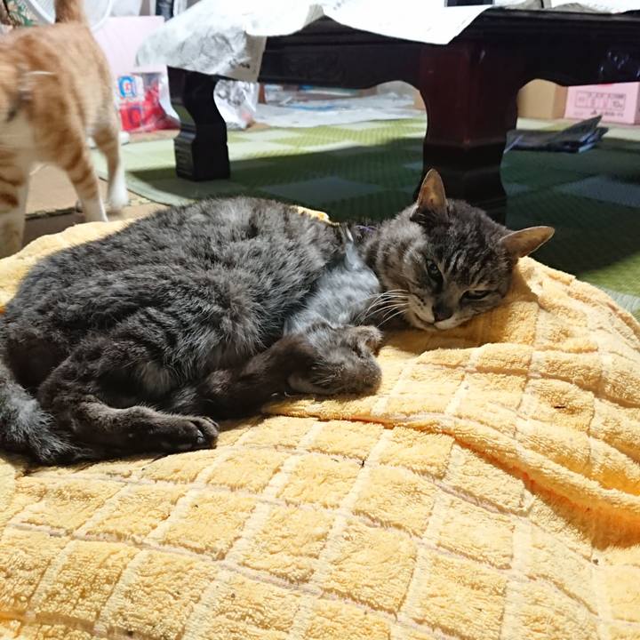 D77d3976 ac6b 4737 a236 618c9ff762e1 1594111666336