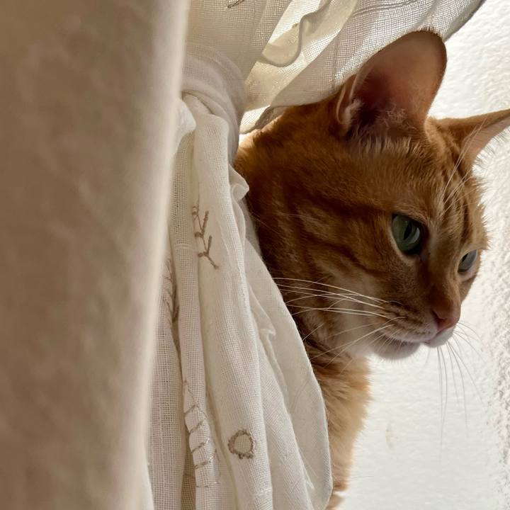 D77d4c08 2de1 487b 82a7 1d0df753414c 1666305079928